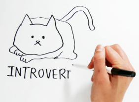 Screen Shot 2018-11-02 at 12.00.06 PM copy